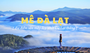 MÊ ĐÀ LẠT