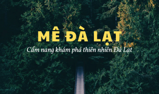 MÊ ĐÀ LẠT